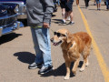 Drumheller-May-24